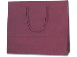 wCR[  J[`[obO 3 GW 10 005320113