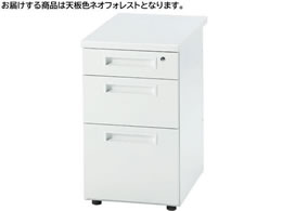 �C�m�E�G �e��3�i �t�H���X�g�~�z���C�g GSD-W047-3-NFO