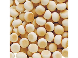 ペティオ アドメイト 純国産極上たまごボーロ 50g Forestway 通販フォレストウェイ