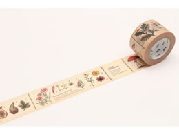 J mt ex }ӁEA MTEX1P34R