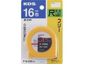 KDS/t[16 ܂ E5.5F16-55S BP