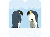 キングジム フタマタフセン イラストタイプ Mサイズ ペンギン 3560-007