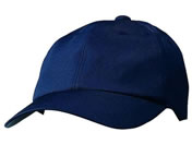 KAZEN WLD/�L���b�v �l�C�r�[/APK475-8