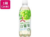 �A�T�q���� �O�c��ʎ��̂��܂ݔ����� 500mL 24�{