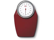 seca/�A�i���O�t���b�g�X�P�[�� �̏d�v 25-3213-02 SECA760(�A�J)