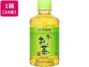 B級)伊藤園/お〜いお茶 緑茶 280ml 24本