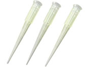 �r�I����(�A�Y����)/�r�I�����T�N���`�b�v(���b�N�p�b�N)200��L �C�G���[ 1�P�[�X(96�{�~10���b�N��)/3-6629-12