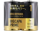 ACXI[} BIGCAPA PRIME eʃAJdr P1`2{