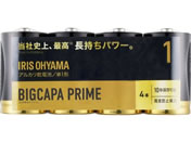 ACXI[} BIGCAPA PRIME eʃAJdr P1`4{