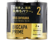 ACXI[} BIGCAPA PRIME eʃAJdr P2`2{