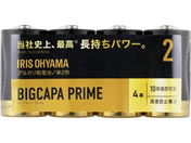 ACXI[} BIGCAPA PRIME eʃAJdr P2`4{