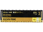 ACXI[} BIGCAPA PRIME eʃAJdr P3`12{