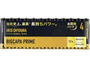 ACXI[} BIGCAPA PRIME eʃAJdr P4`12{