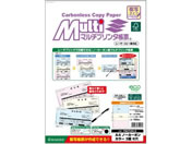 G)ヒサゴ/マルチプリンタ帳票複写 A4 カラー3面6穴 100/FSCF2013