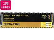 ACXI[} BIGCAPA PRIME AJdr P3`12{~4pbN