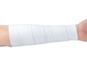 �A���P�A/�T�|�[�e�b�N�X(4��)�e����� 23-6180-02 11613(10�J���C��)