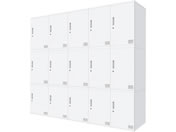 Netforce/�L���[�{�C�h ���b�J�[ 15�l�p 5��3�i �V�����_�[�� ����600mm �X�`�[�� �z���C�g�~�z���C�g/CUB3560S15-WHWH