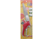 TAKAGI/Mr.sunshine 360����]���Ŋ���