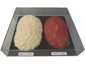 �C���C�T���v��/�ؓ��Δ�Z�b�g 3Kg/SKT-030