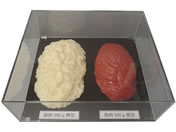 �C���C�T���v�� ���b �ؓ��Δ�Z�b�g �e500g ���b�͌^ 24-8265-00 SKT-005(�A�N�����P�[�X�c�L)