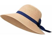�q���J�� �܂肽���߂锞��畗�X�q QT-673