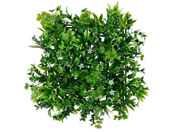 �A�C���X�I�[���}/DECO GREEN �E�H�[���p�l�� �i�`�������~�b�N�X/WG-50M