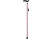 �V�i�m/�l�I�N���V�J�� �܂��� ���C��/605000