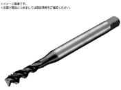 SANDVIK/R^bv300 XpC^bv 780 P1PM T300-PM100JA-M4 P1PM 780