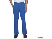 Healing Hands/HH WORKS スクラブパンツ RYAN S ロイヤルブルー