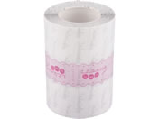 skinix/�G�A�E�H�[���ӁE��E��(�h���b�V���O�t�B����)100mm�~12m/7-3292-07