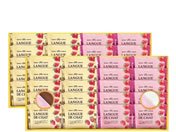 P)�����/���܂���䕃����O�h�V���Z�b�g/GT50