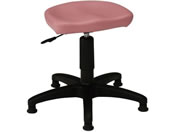 �j�V�L�H��/�N�����P�`�F�A �Œ�S���r �s���N/MS-31P