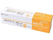 �j�`�o��/�X�L�i�Q�[�g �K�`�b�g �x�[�W�� �T�[�W�J���e�[�v 24-8598-04 SGGB75(75X5M)4�J��