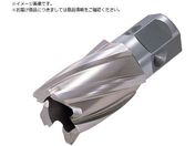 日東/ハイブローチ ワンタッチタイプ 28X25L 16228 NO.16228