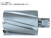 日東/ジェットブローチ ワンタッチタイプ 54X75L 19669 NO.19669