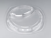 �V�[�s�[���� BF�J���[��11 �ƍ��W U���� 50�� 00191833