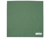 �i�K�C���[�x��/��d�l�p�� 650g �O���[��/AD-90200