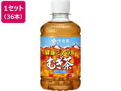 伊藤園/健康ミネラルむぎ茶 280mL ハーフケース 12本×3箱