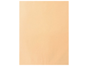 G)t/Ntg B3p(440~570mm)120g^m2 100