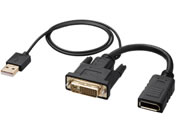 �T�����T�v���C DVI-DisplayPort�ϊ��A�_�v�^ 4K 30Hz AD-DVDP01