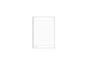 qgu cCXgm[gp[t A6^e 17 Br6mm 30 N-1663