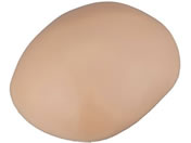 �A�Y���� �P���p���f��(�i�r�g��)�����D�����f�� 7-7508-01