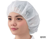 �A�Y���� �v���V�F�A�R�[�e�B���O�L���b�v 100���� 7-7669-01