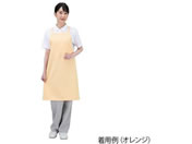 ���R�E/�R�E�C���X�G�v���� Dr.Earth �������|�� �I�t�z���C�g/7-780-01