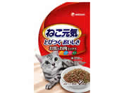 j`[ybgPA ˂CoX~bNX2kg