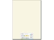 ���剮���X/���ʎ� ���R�F A3[209g] 50��/�i-984