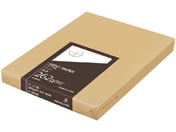 RN/Pg A4 100 262g/Z-KP49