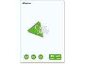 ���剮���X/�J���[�y�[�p�[ A4 ���� ��/�i-3301