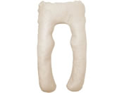 �t�@�~���[�E���C�t/����U���^�܂��� �J�[�L/a3597240