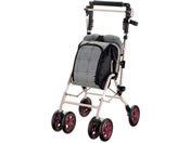 ���b�`�F��/�V���o�[�J�[ �A���L���[�gCP-G �O�����`�F�b�N/44195